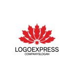 画像3: もみじの葉と星が輝くのロゴ (3)