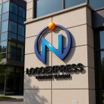 画像8: Nのグローバルロゴ (8)