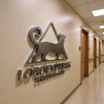 画像15: 三角形とエレガントな猫のロゴ (15)