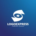 画像4: S字曲線と星の輝く成功ロゴ (4)