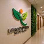 画像15: Y字と新芽の成長ロゴ (15)