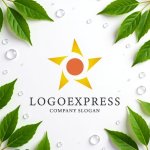 画像9: 輝く太陽と星のロゴ (9)