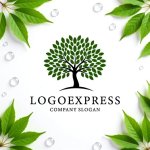 画像9: 優雅なオリーブの木が象徴する繁栄のロゴ (9)