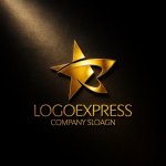 画像12: 星とBのダイナミックな輝きロゴ (12)