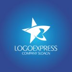 画像4: 星とBのダイナミックな輝きロゴ (4)