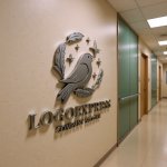 画像15: 輝く鳥と羽のロゴ (15)