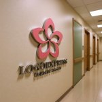 画像15: 可憐な桜の花びらロゴ (15)