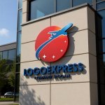 画像8: 空を駆ける飛行機と星のグローバルロゴ (8)