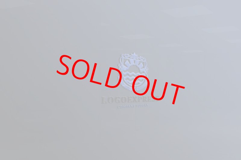 画像9: 太陽と海を表現したエンブレムのロゴ (9)