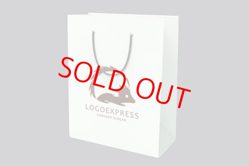 画像7: ハリネズミのおしゃれなロゴ (7)