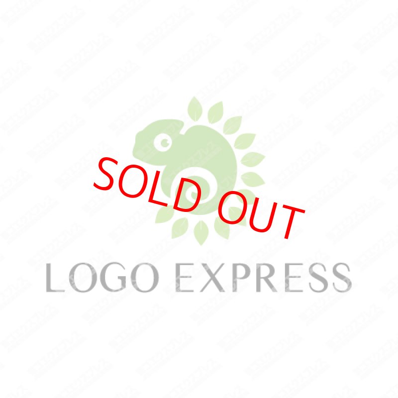 画像1: 自然のカメレオンのロゴ (1)