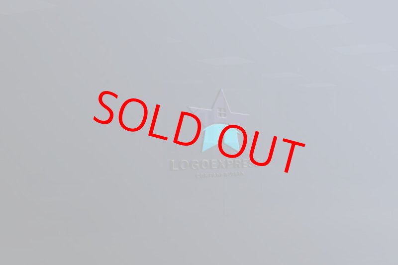 画像11: 星と家をモチーフにしたおしゃれなロゴ (11)