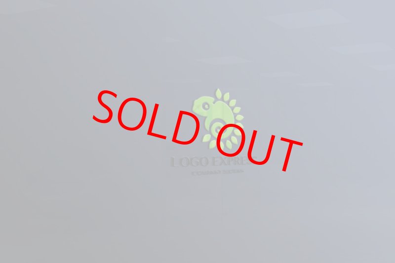 画像8: 自然のカメレオンのロゴ (8)