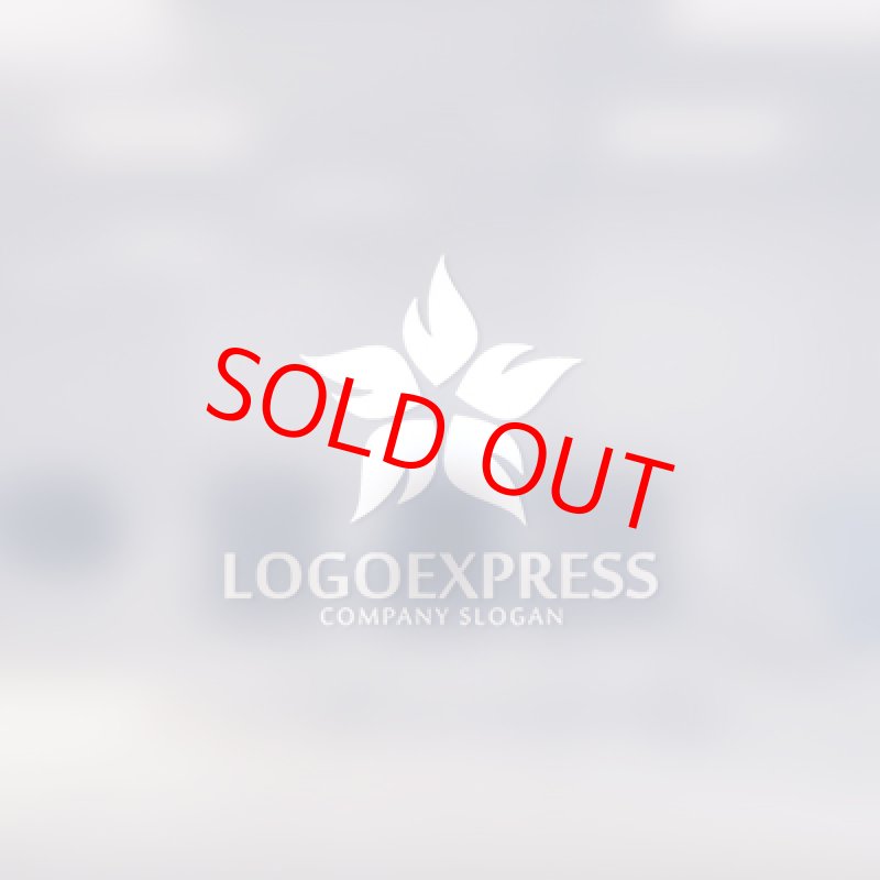 画像14: 炎の星ロゴ (14)