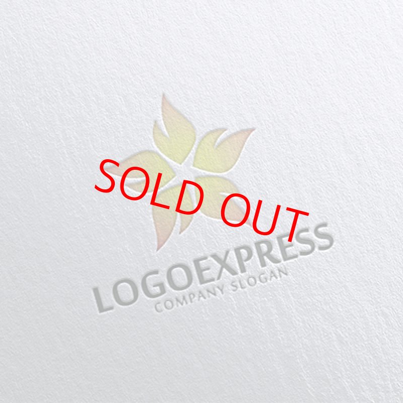 画像16: 炎の星ロゴ (16)