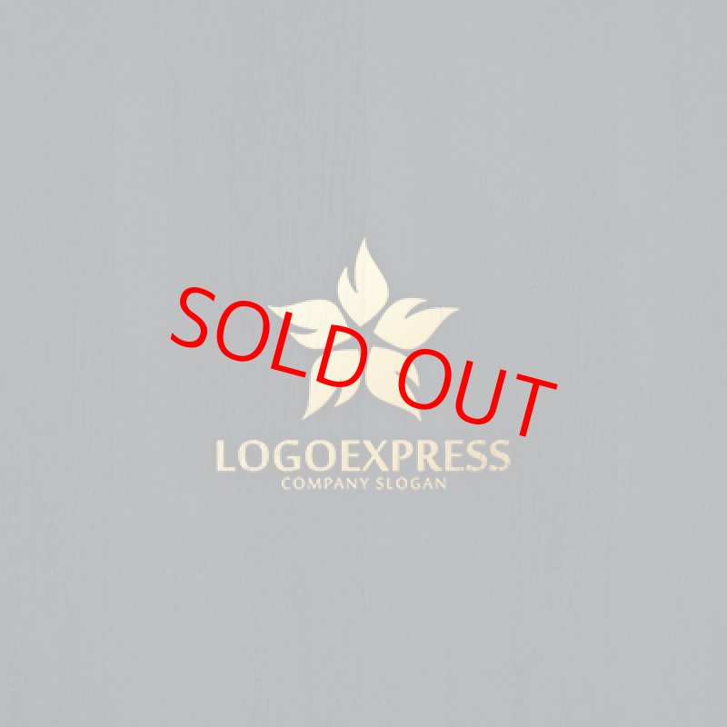 画像13: 炎の星ロゴ (13)