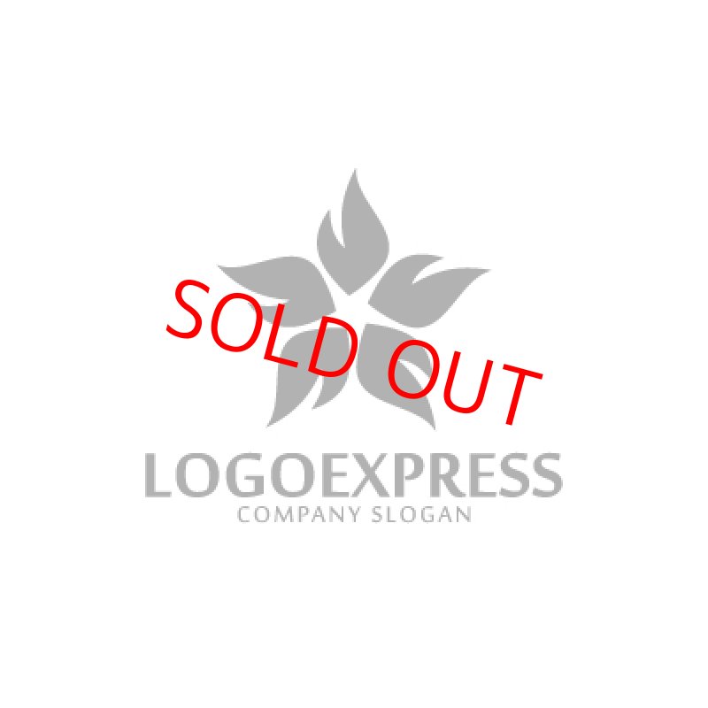 画像3: 炎の星ロゴ (3)