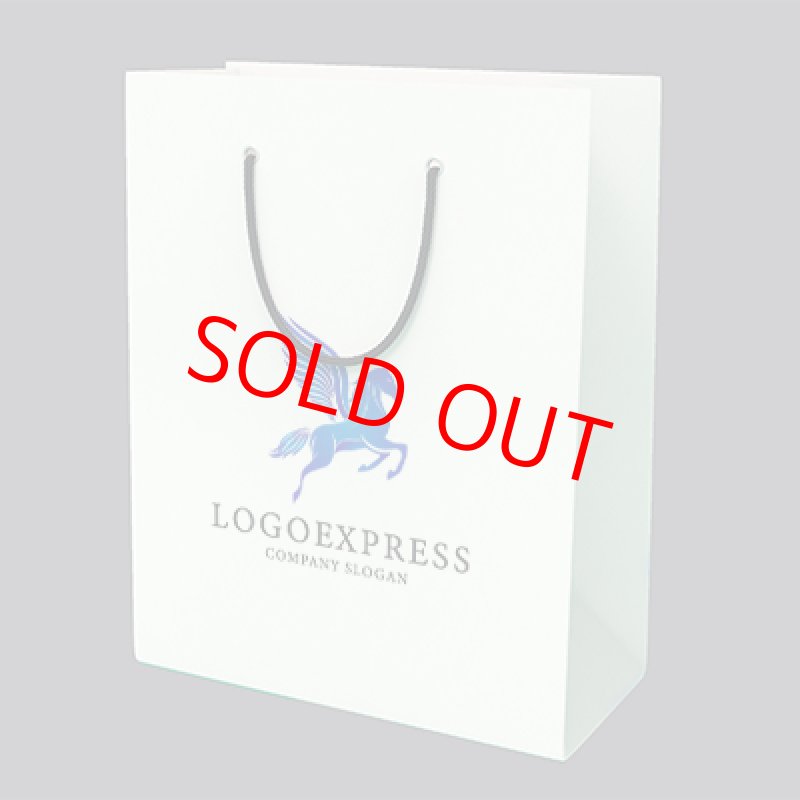 画像7: ペガサスのロゴ (7)