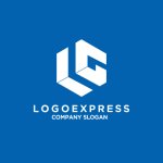 画像4: LGを組み合わせた大胆な六角形のロゴ (4)