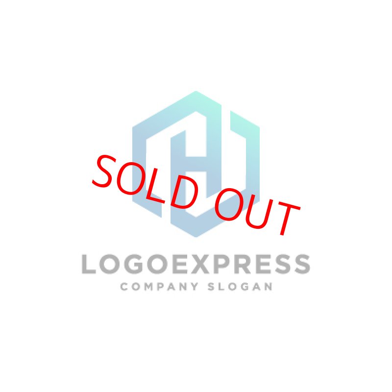 画像3: 洗練されたH型六角形ロゴ (3)