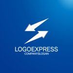 画像4: S字型のダイナミックアローロゴ (4)