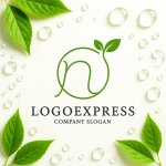 画像9: Nの文字と葉のナチュラルロゴ (9)