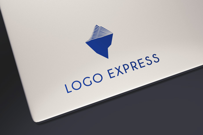 画像4: 氷山のロゴ (4)