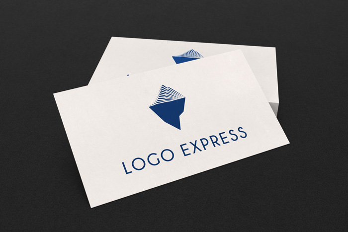 画像8: 氷山のロゴ (8)